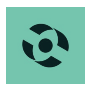 Capsule Security logo